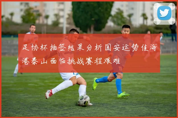 足协杯抽签结果分析国安运势佳海港泰山面临挑战赛程艰难