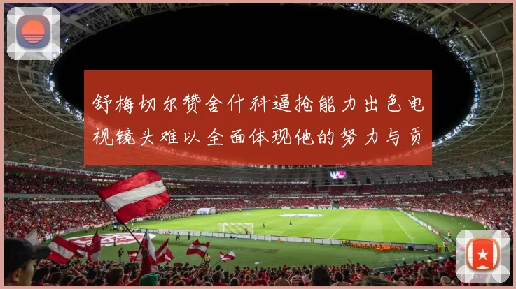 舒梅切尔赞舍什科逼抢能力出色电视镜头难以全面体现他的努力与贡献