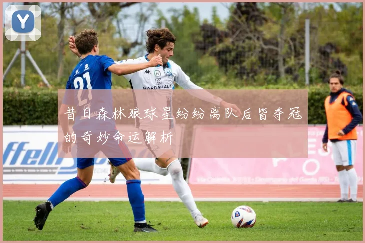 昔日森林狼球星纷纷离队后皆夺冠的奇妙命运解析