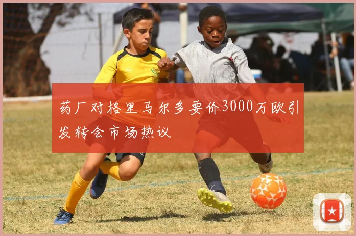 药厂对格里马尔多要价3000万欧引发转会市场热议