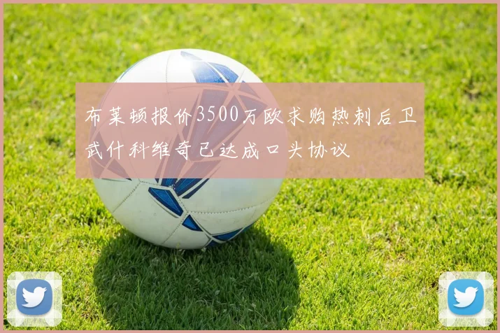 布莱顿报价3500万欧求购热刺后卫武什科维奇已达成口头协议