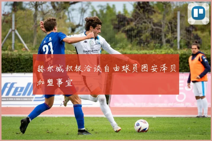 赫尔城积极洽谈自由球员图安泽贝加盟事宜